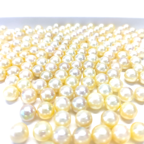あこや真珠 無穴 7.0mm 華やかなイエロー&ゴールド ラウンド 素材