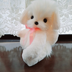 マルチーズ ぬいぐるみ のおすすめ人気通販 検索結果｜Creema(クリーマ