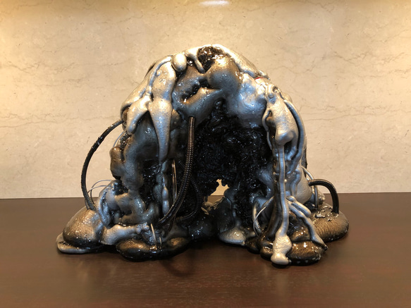 醜美〈シュウビ〉 “ 核 “ 立体・オブジェ tomohiro 通販 5148383