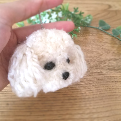 送料無料】動物ぽんぽん 毛糸 トイプードル プードル ストラップ 羊毛
