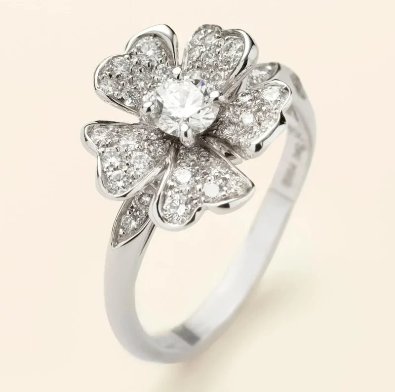 メレリオ × ロス アンド ロス】クール ヴァンドーム（ドミニク