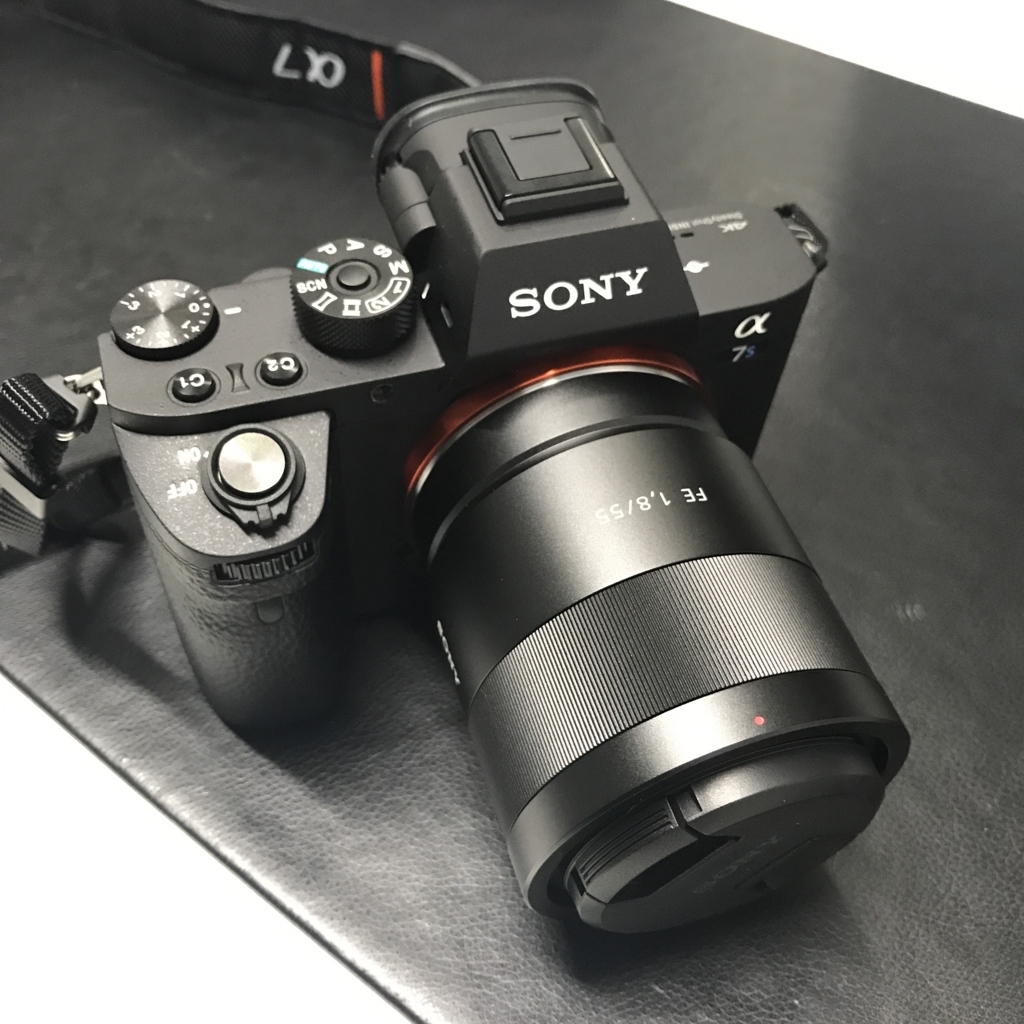 今更SONYの夜に強い、動画に強い一眼ミラーレスカメラ『α7Sii』を買っ