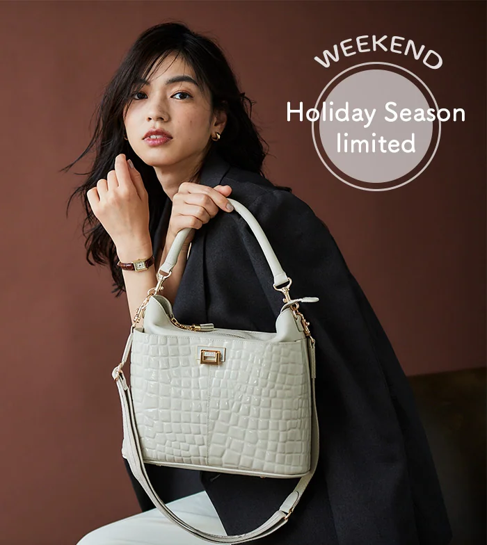 ATAOのクリスマス限定バッグを手に入れた！ - wanichan's blog