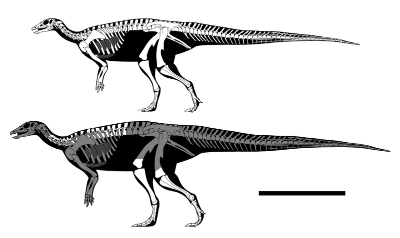 陽の当たる場所へ - GET AWAY TRIKE !