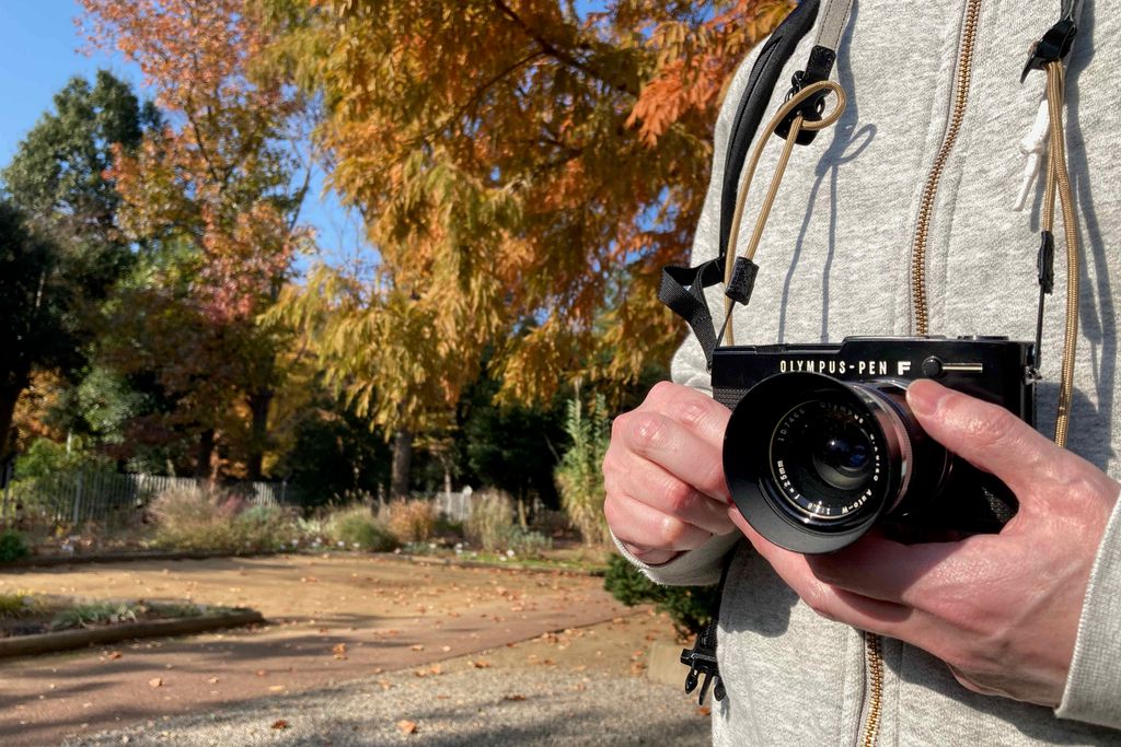 PEN FTとG.Zuiko Auto W 25mm f2.8で筑波実験植物園の紅葉を撮ってきた