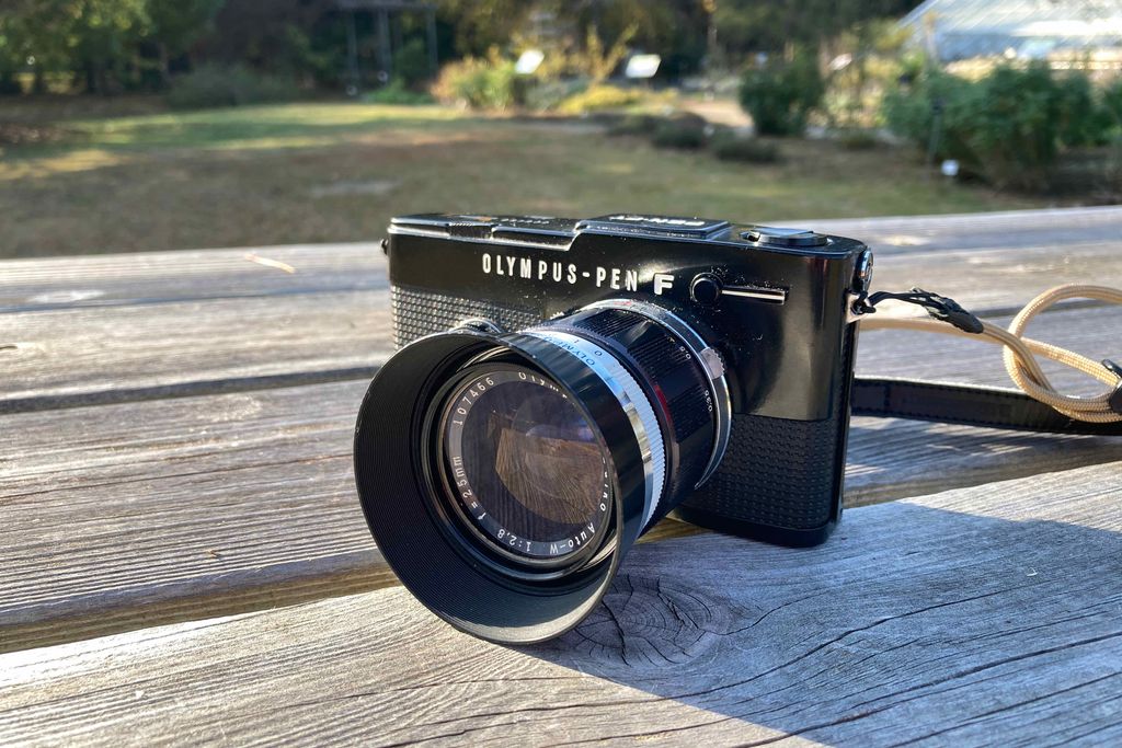 PEN FTとG.Zuiko Auto W 25mm f2.8で筑波実験植物園の紅葉を撮ってきた