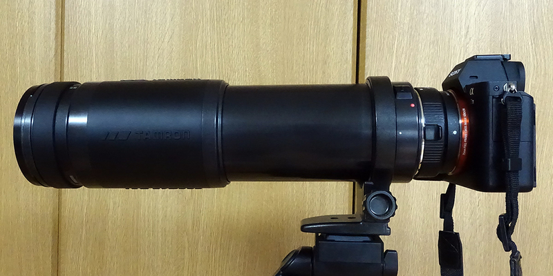 α7Ⅱ＋TAMRON 200-400mm - フォト・ディレッタント