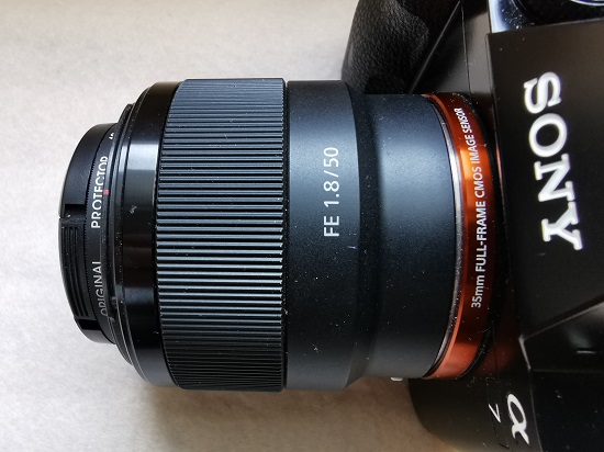 SONY SEL50F18F（50mm F1.8 単焦点レンズ） 実感レビュー】～自然写真