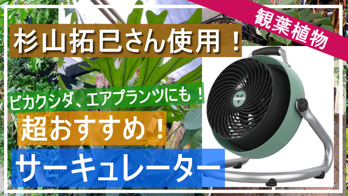 杉山拓巳さん使用モデル】観葉植物やエアプランツに超おすすめ