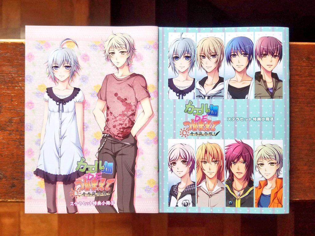 カエル畑FDの特典小冊子を読んだ回 - 生きる少年漫画くん