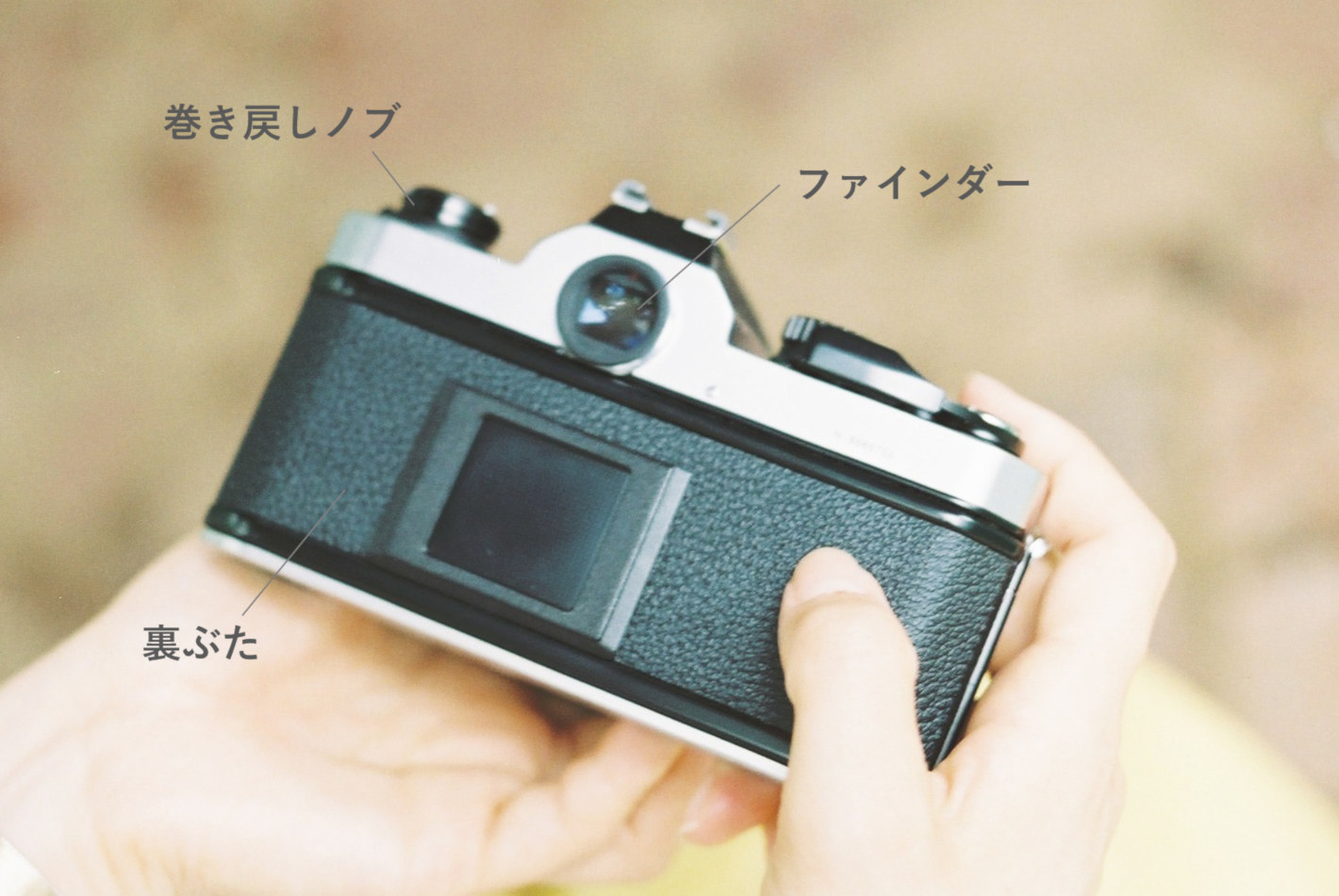 写真家が解説。オススメのフィルム15種類、比較してみました！ - NICO