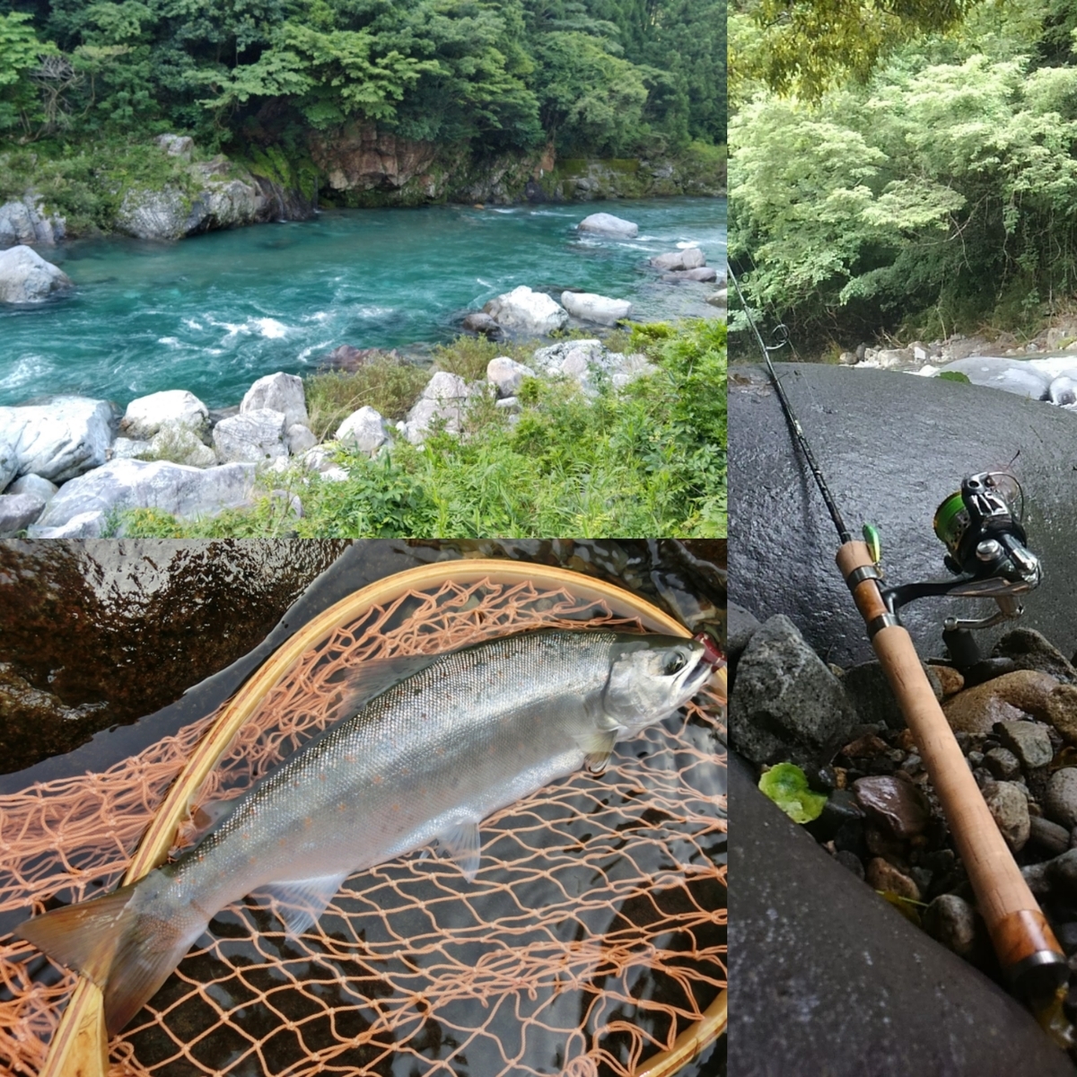 釣*き様 シマノ 秘宝 樹海 十三 ☆ 岩魚、ヤマメ、アマゴ、虹鱒に最適