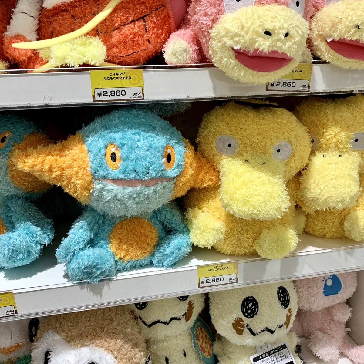 ポケモン「もこもこぬいぐるみ」ヌマクローほか15種類 - ポケモン