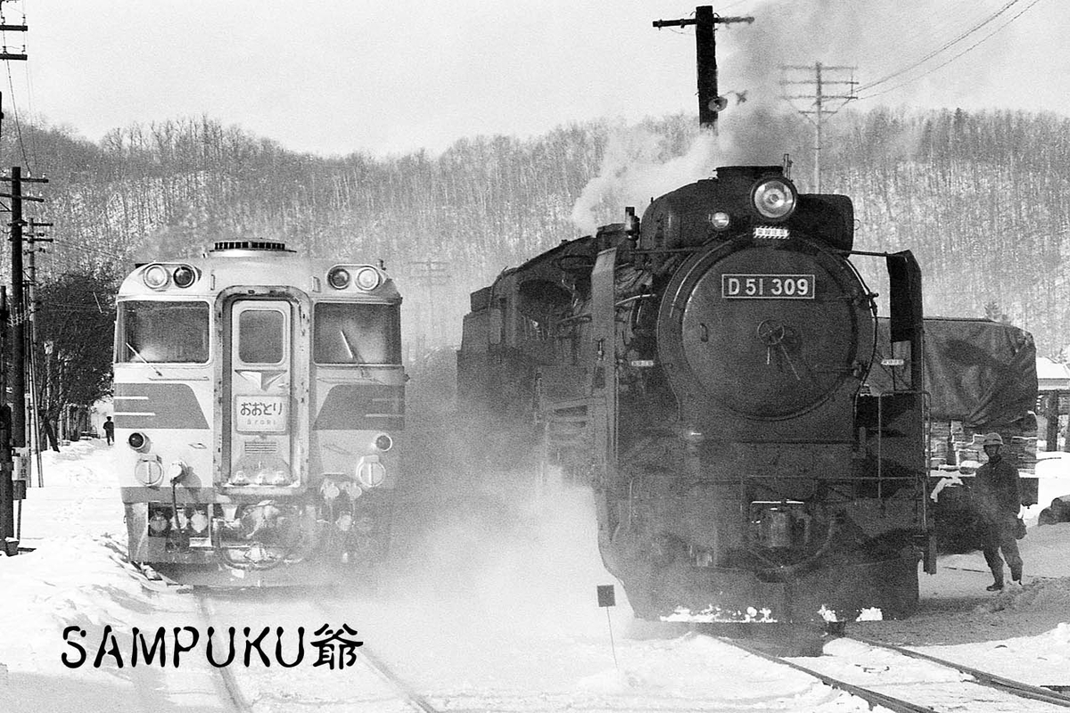 D51 309 - ただいま鉄道写真スキャン中