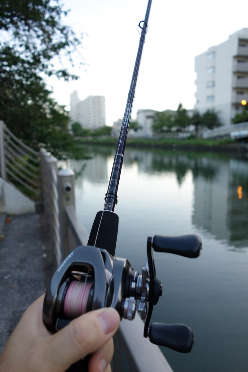 ダイワ ハートランドZ ベイト柳龍 6102MLFB-ti04 インプレ - 釣りと