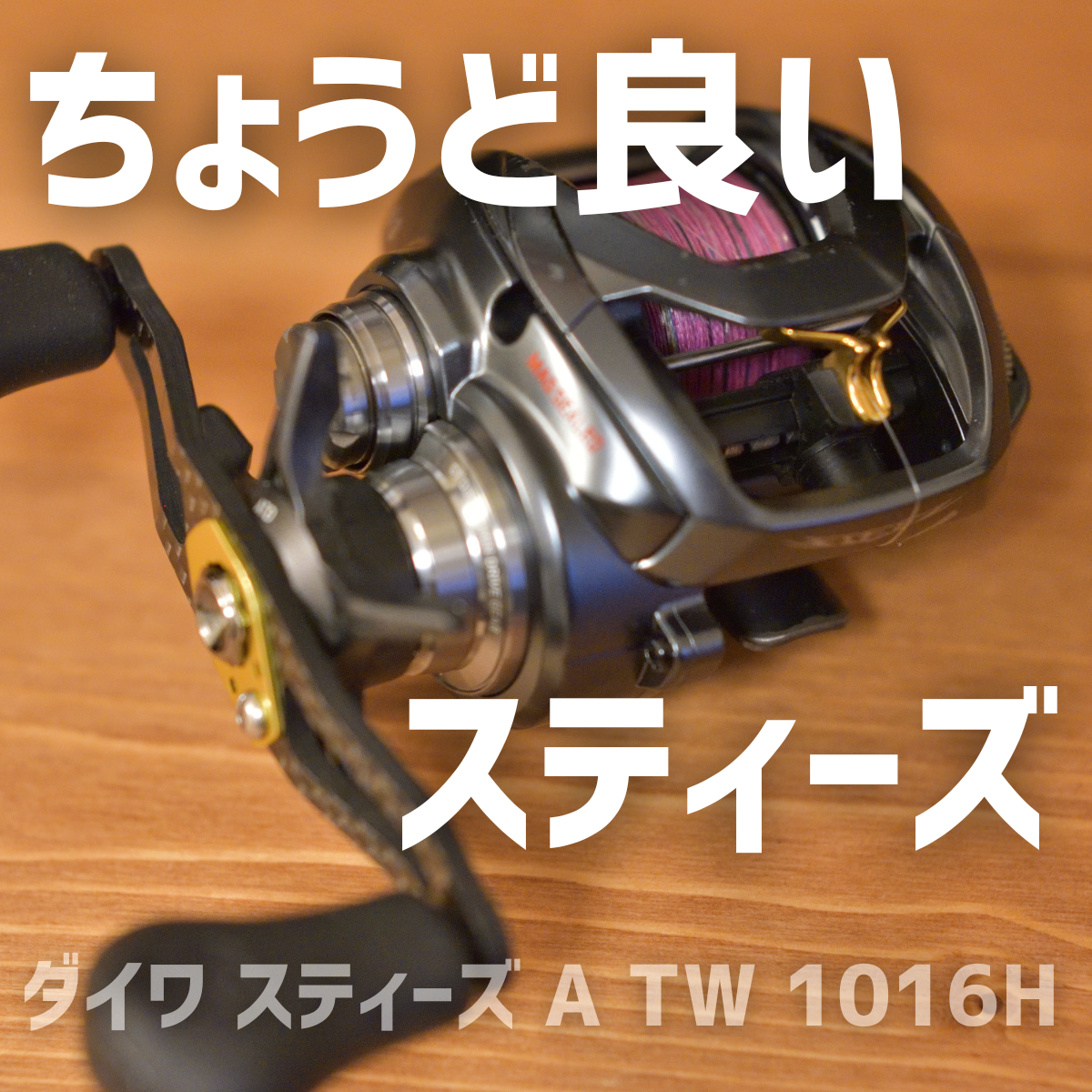 ダイワ 17スティーズ A TW 1016H インプレ - 釣りと釣具を楽しむ