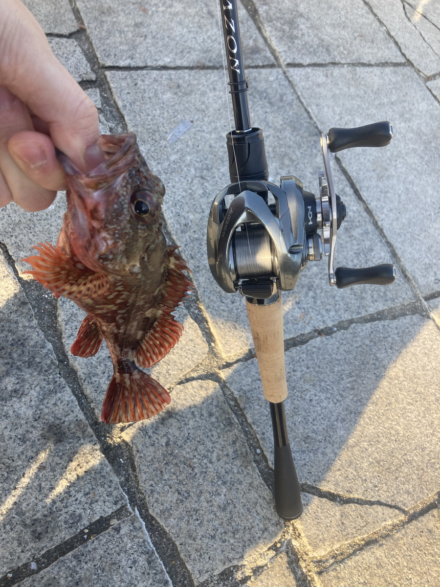 ダイワ 21 ブレイゾン C64L-2・ST・BF インプレ - 釣りと釣具を楽しむ