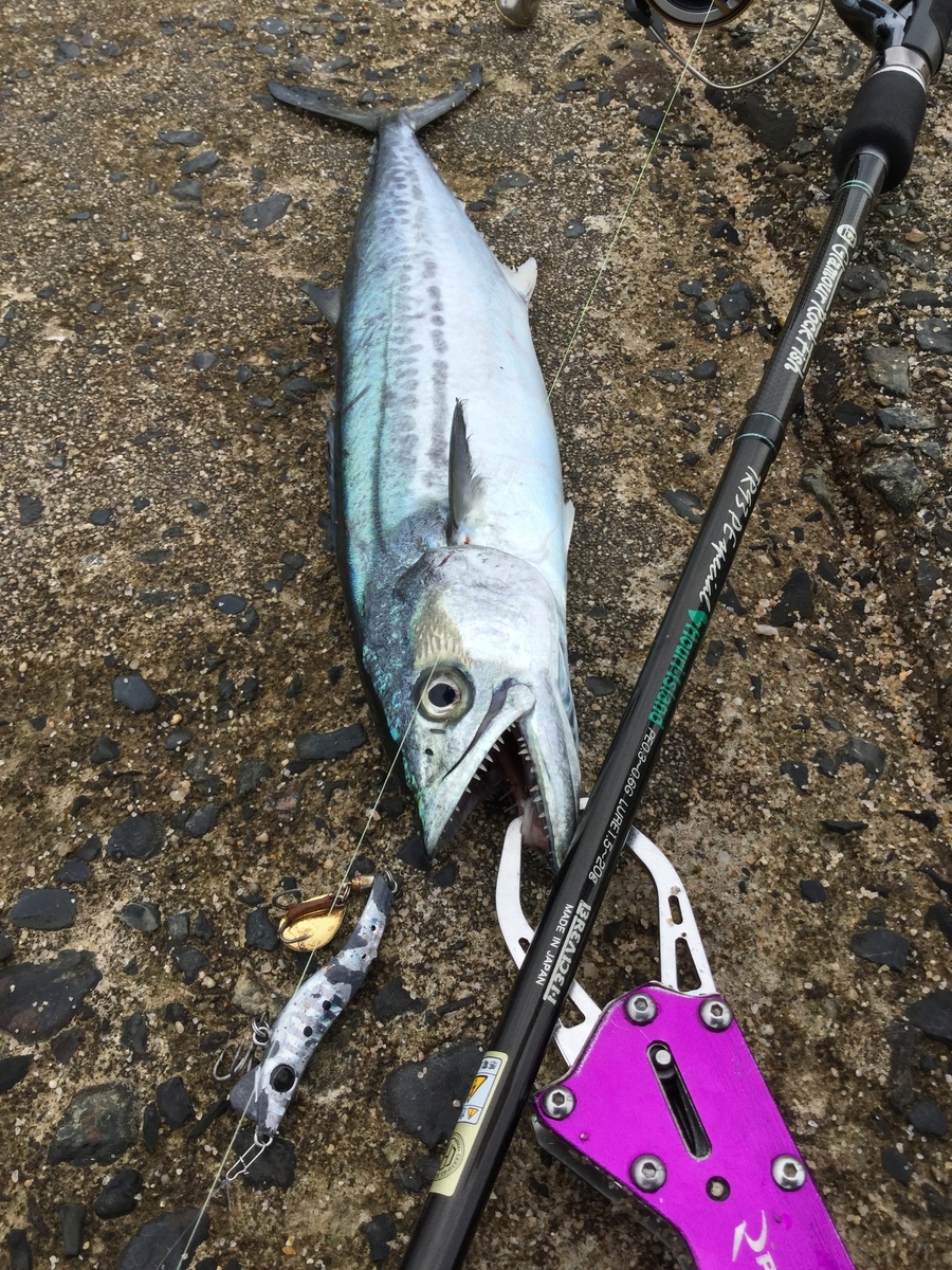 魚種限定解除の名竿インプレ【TR93PEスペシャルhouri】スーパーライト