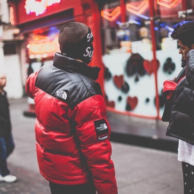 Supreme The North Face Leather Nuptse Jacket シュプリーム (Supreme