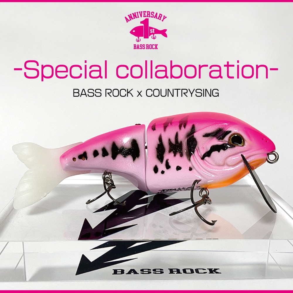 PRODUCE | BASS ROCK (バスロック) - ハンドメイド ルアー ビッグベイト -
