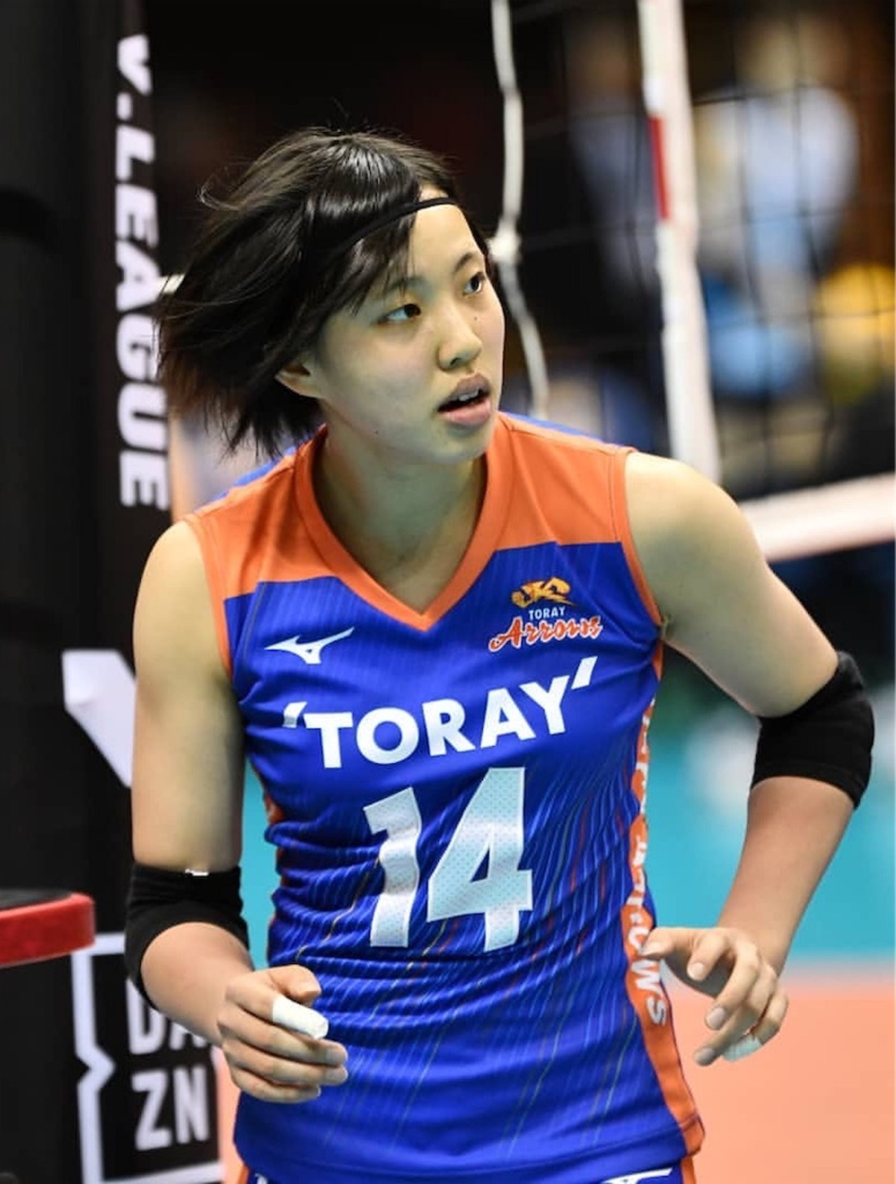 女子バレーボール】東レアローズ 関菜々巳がかわいい - 美人さん応援