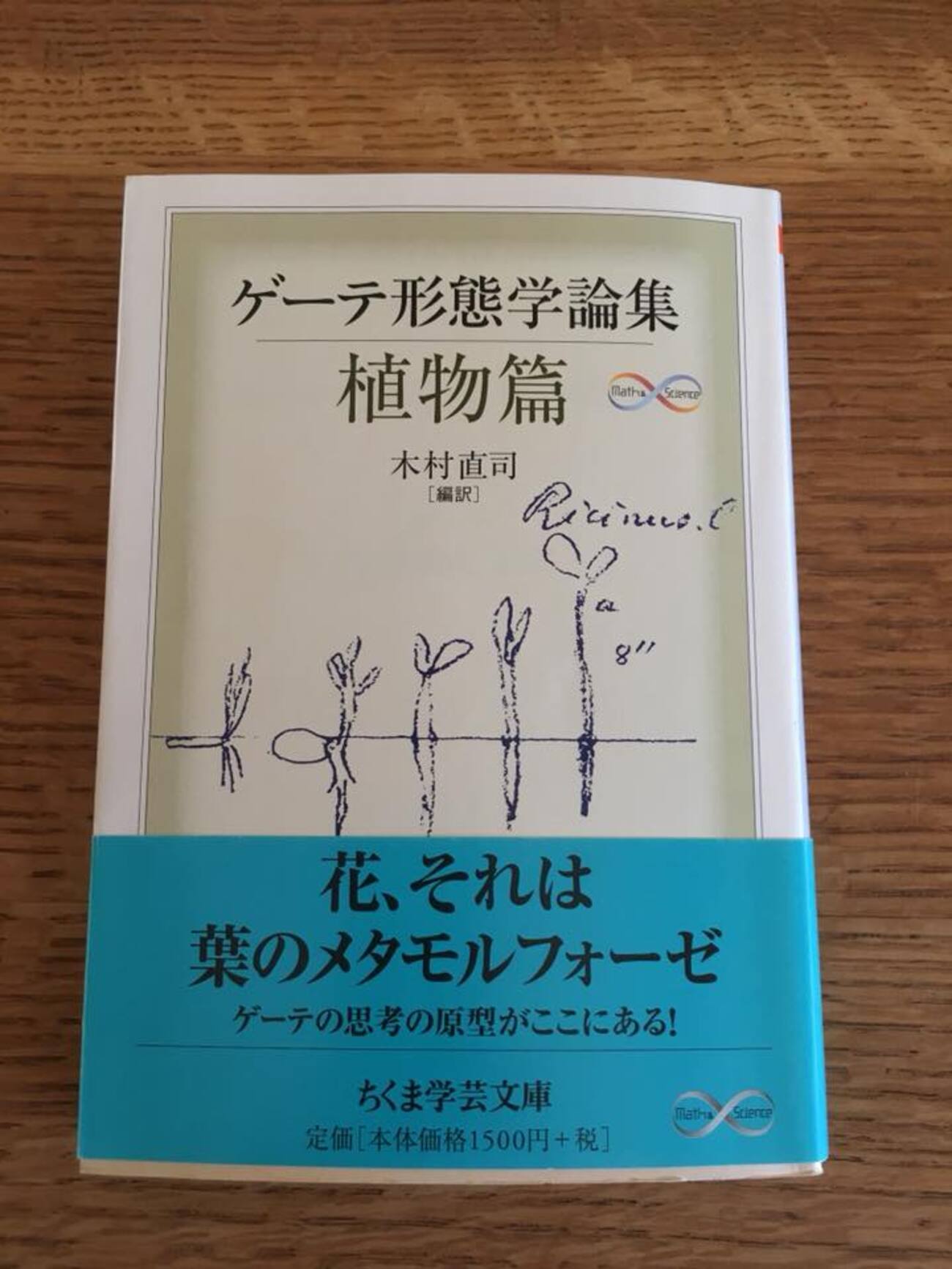 ゲーテ形態学論集 植物篇・動物編2冊セット ゲーテ形態学論集 植物篇