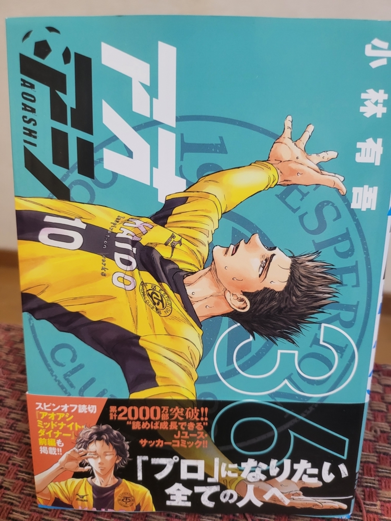 backend=imagemagick;version=1;