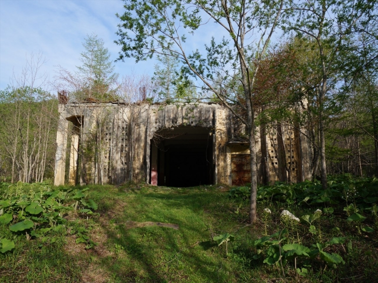 backend=imagemagick;version=1;