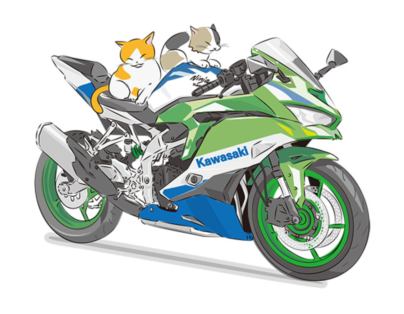 backend=imagemagick;version=1;