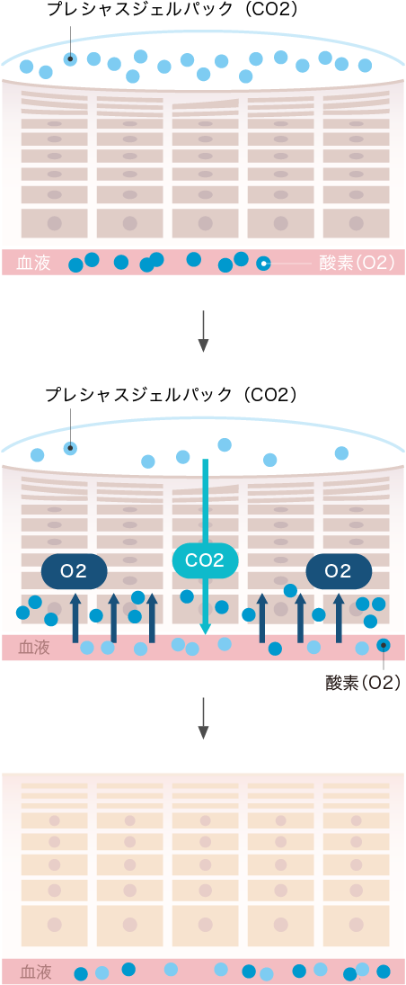 PRECIOUS GEL PACK 10 PACKS 定期購入プラン – EKATO.