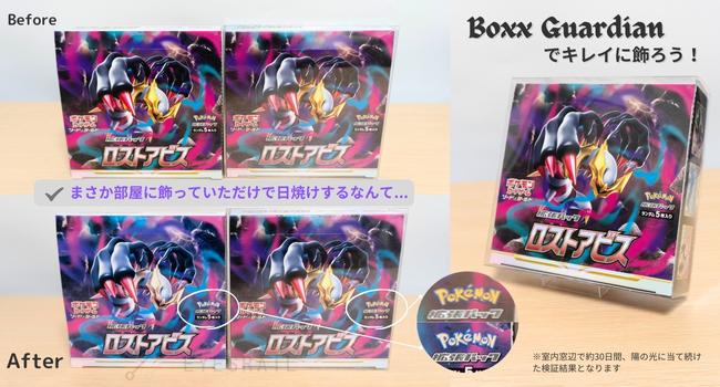 Boxx Guardian ポケモンカードBOX用 ナンジャモセット ポケモン