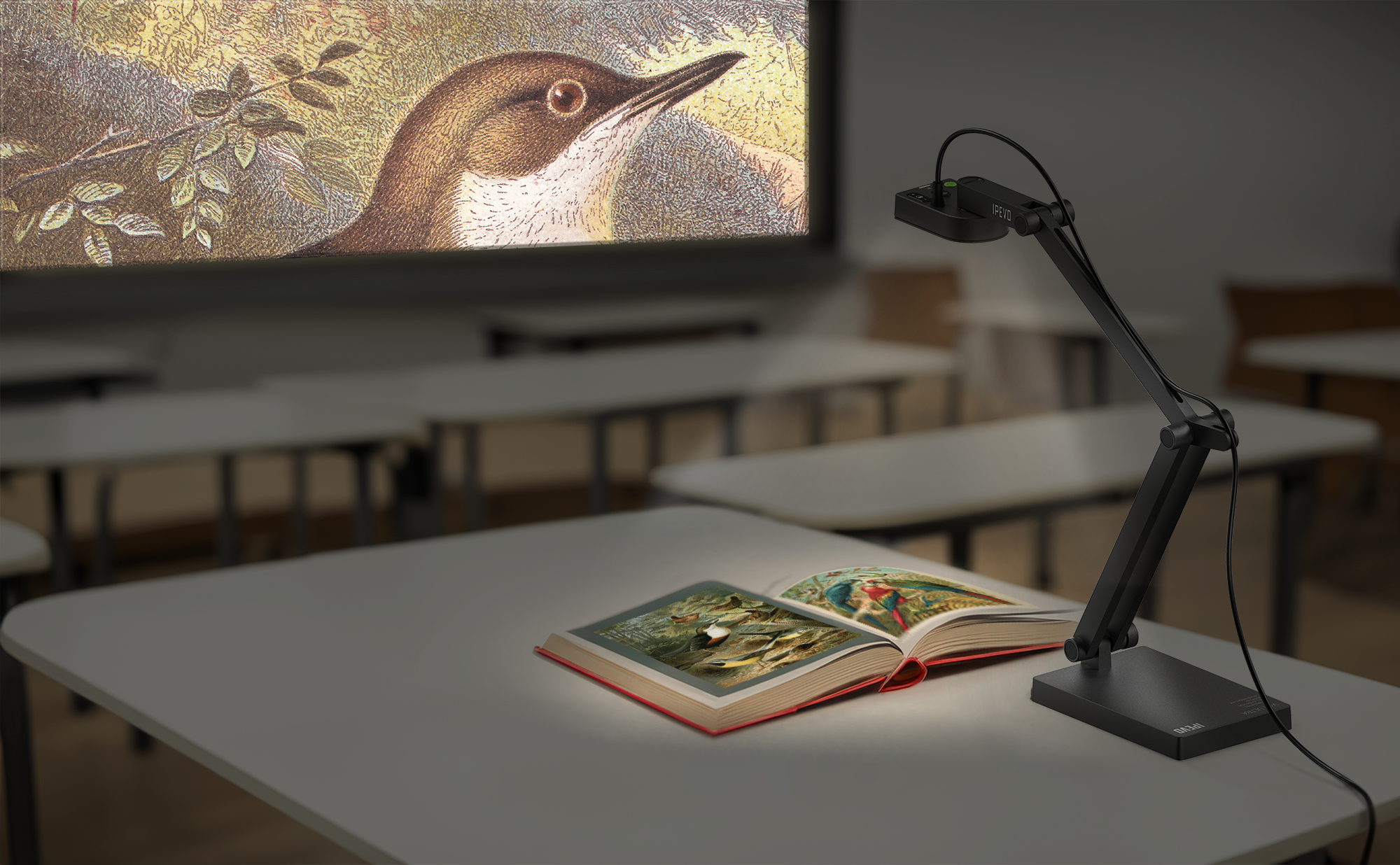 V4K ULTRA - Overview – IPEVO JP