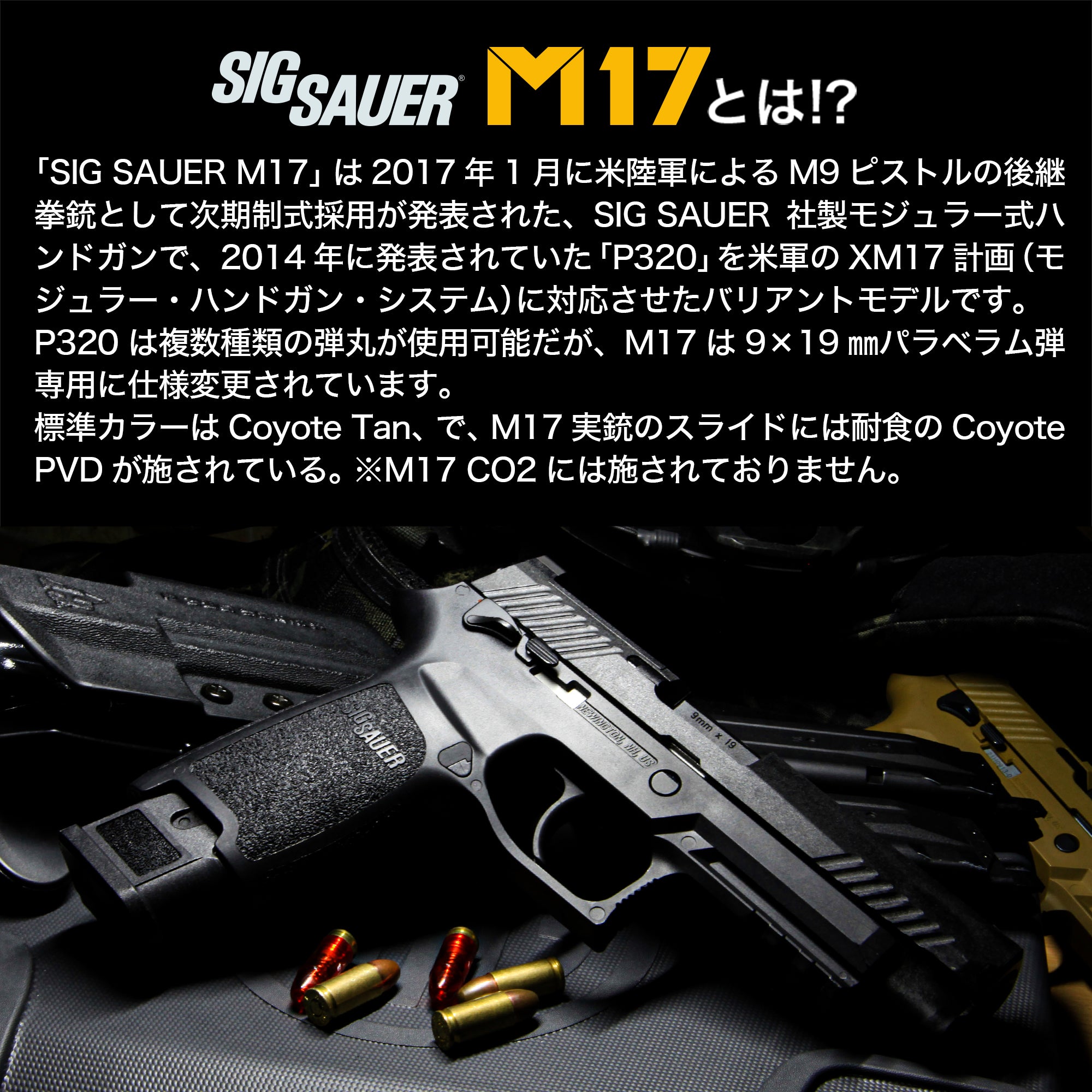 SIG SAUER ProForce M17 CO2 GBB CO2ガスガン本体 ブラック/対象年齢18