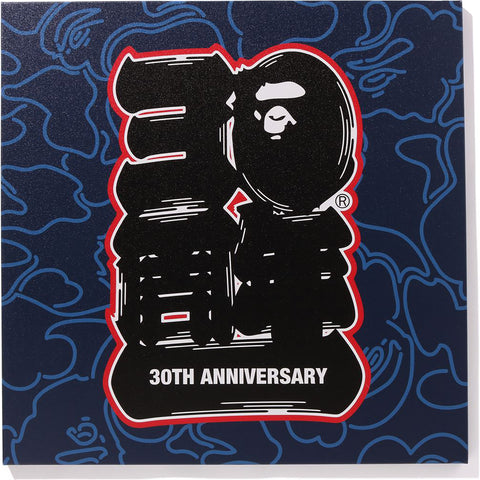 A BATHING APE® 30TH ANNIVERSARY – us.bape.com