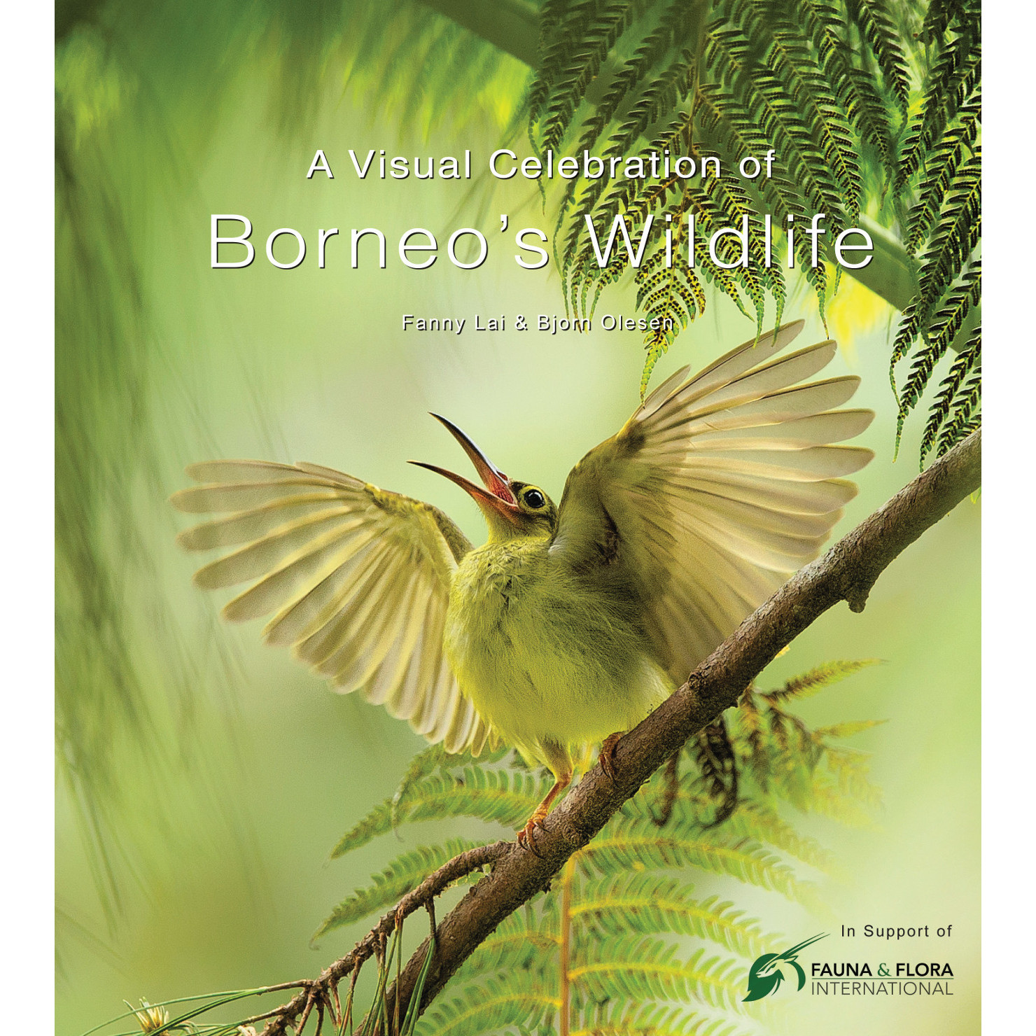 A Visual Celebration of Borneo's Wildlife (9780794607876) - Tuttle