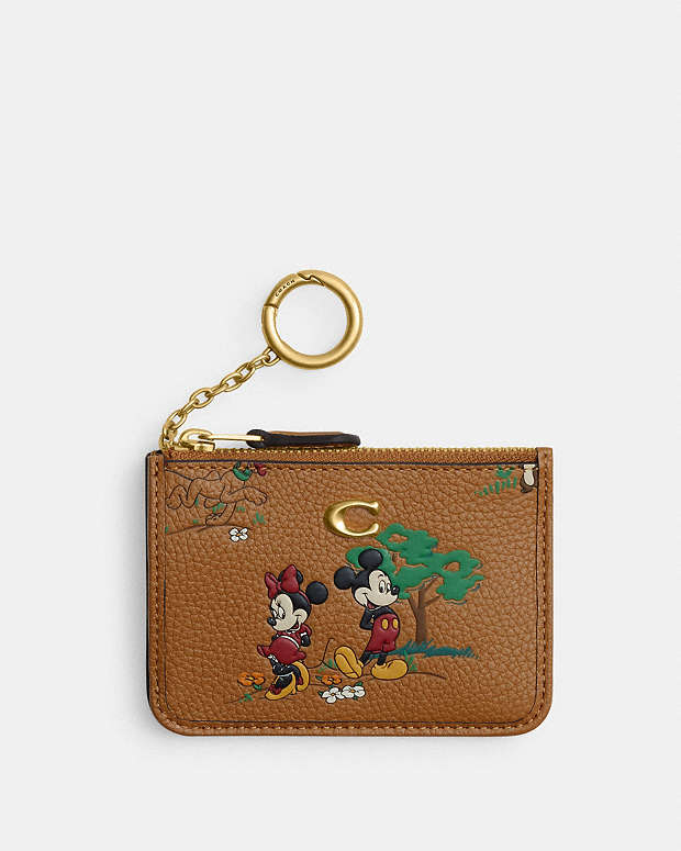 公式】COACH – コーチ | 【DISNEY X COACH】ミニ スキニー ID ケース