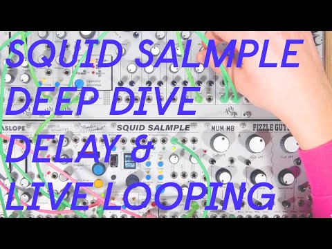 ALM Busy Squid Salmple— Clockface Modular