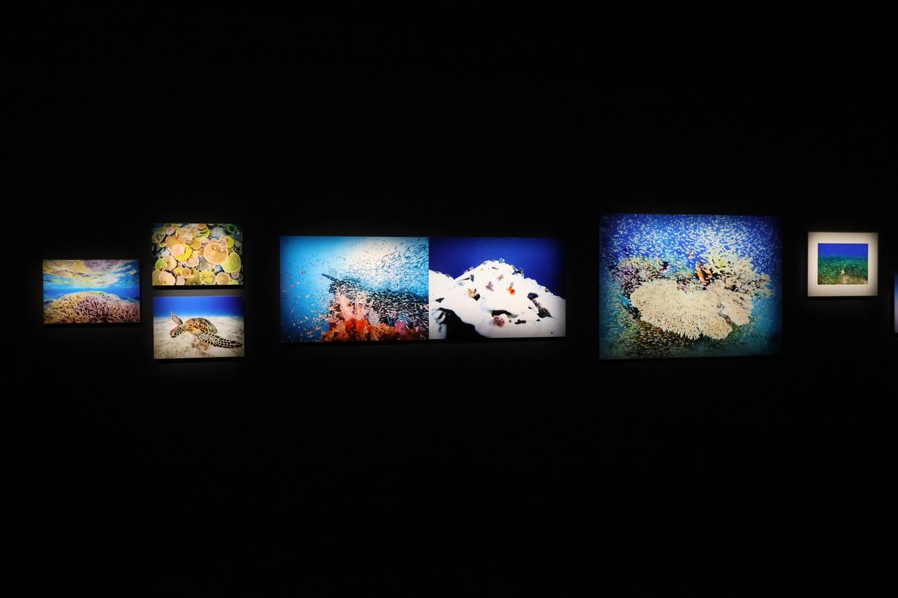 藤川智之写真展「龍宮城」がキヤノンギャラリー銀座で開催中！ 11月22