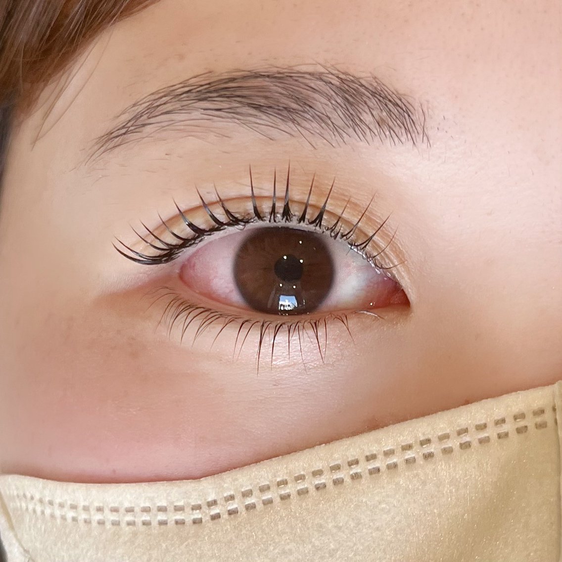 下まつげエクステ】2026年冬人気の下まつげエクステのマツエク・まつげ