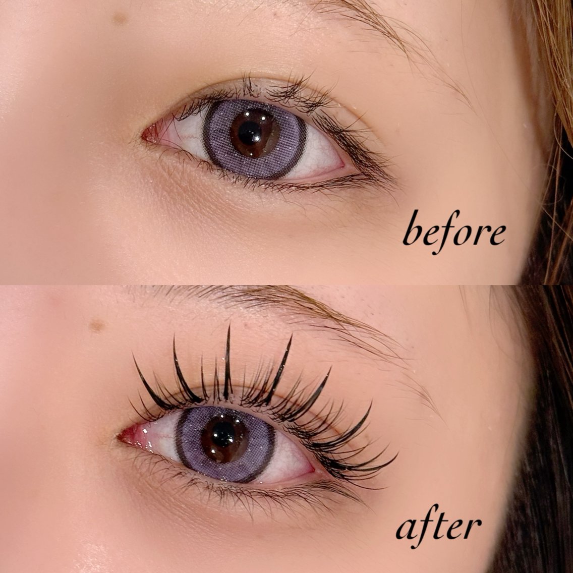 ボリュームラッシュ10ケース ボリュームラッシュ10ケース ボリューム