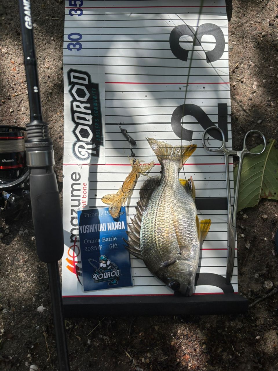 APIA グランデージ ライト 82の最安値・インプレ・釣果 | 本音の口コミ