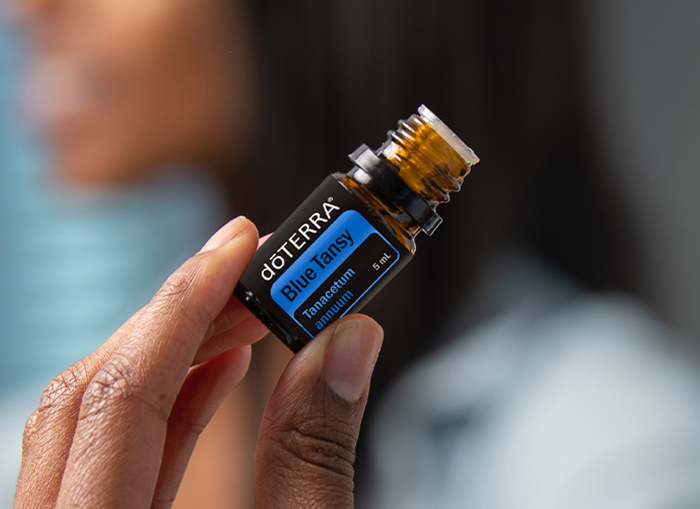 Blue Tansy Oil | doTERRA Essential Oils