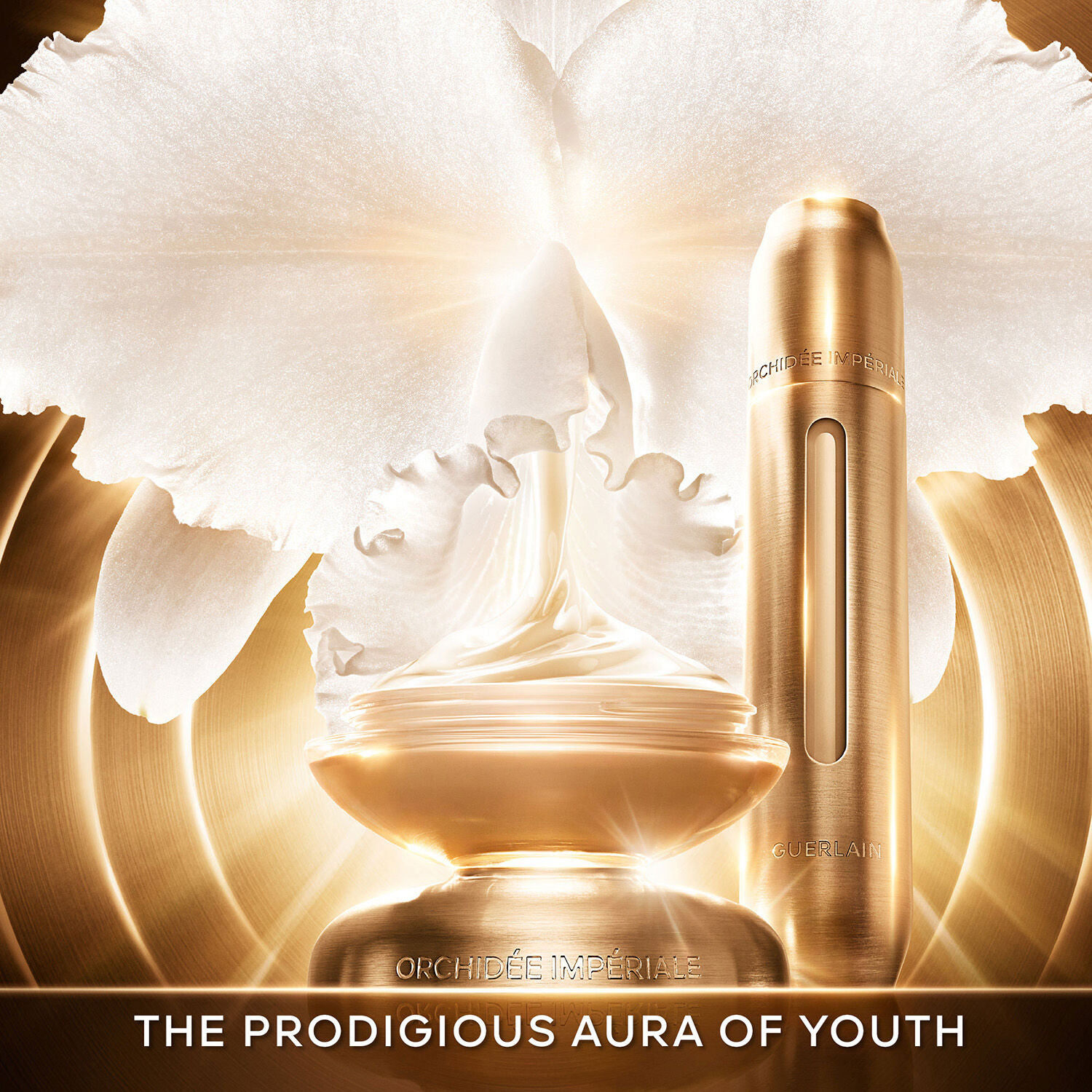 オーキデ アンペリアル ゴールドノビレ ザ セロム