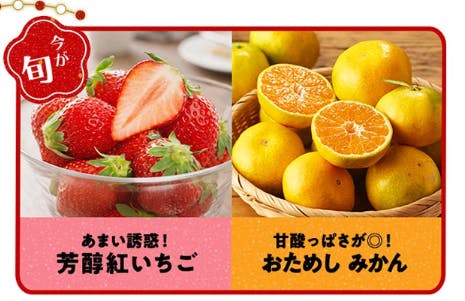 数量限定74%オフ】Oisixの2026年新春の招福セールのお試しセットが15