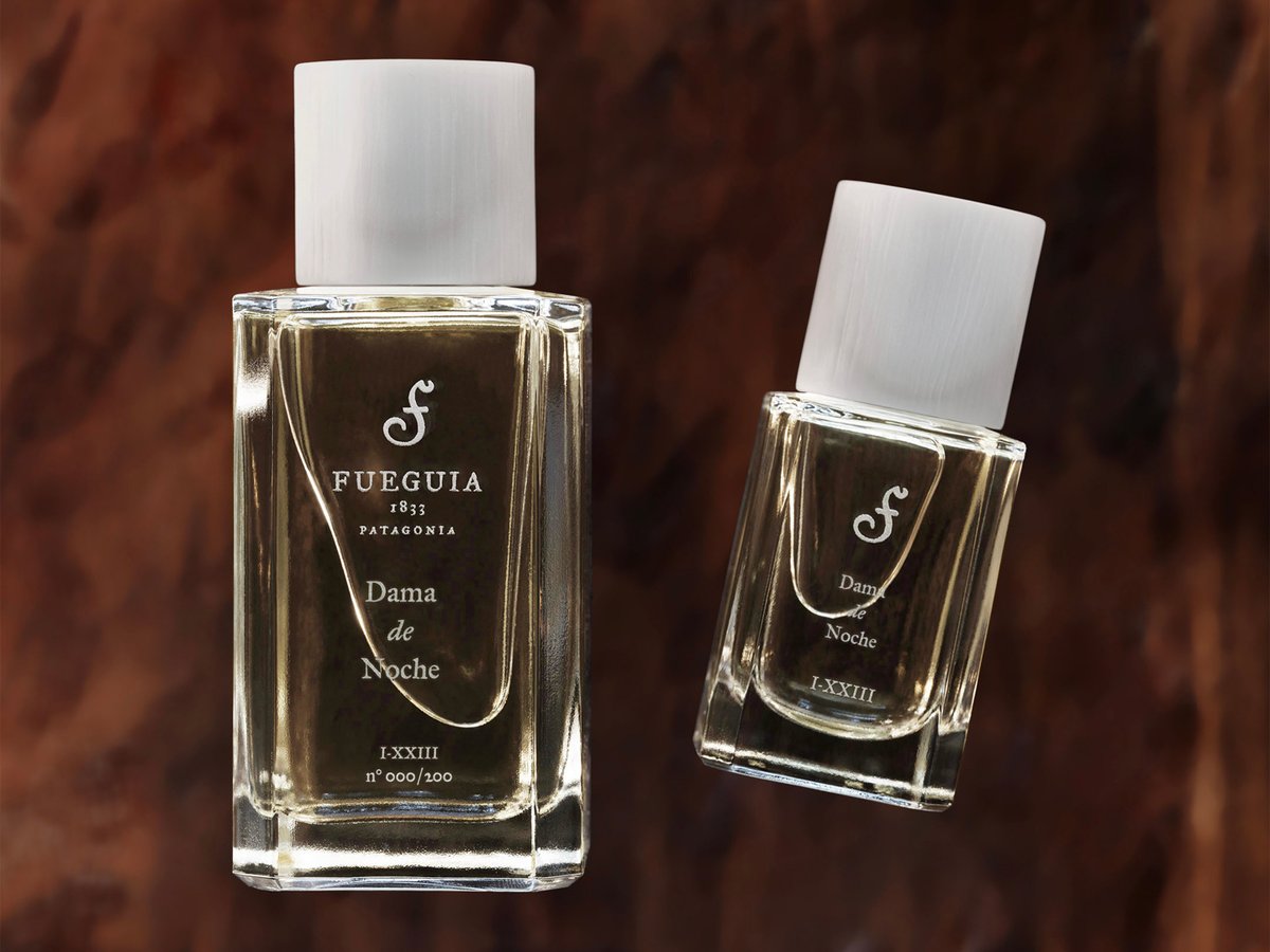 fueguia1833-dama-de-noche-