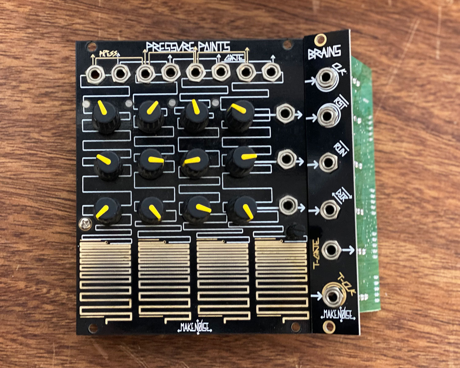 Make Noise Pressure Points with Brains – Found Sound