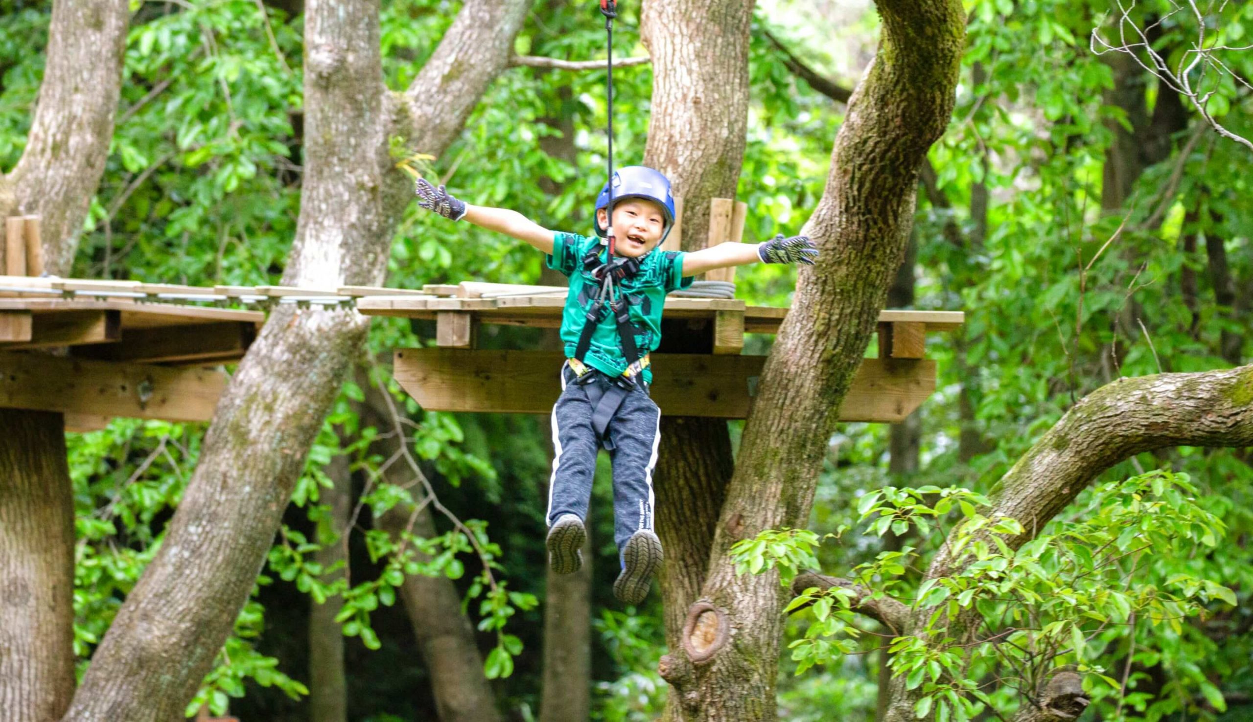 キャノピーコース | フォレストアドベンチャー