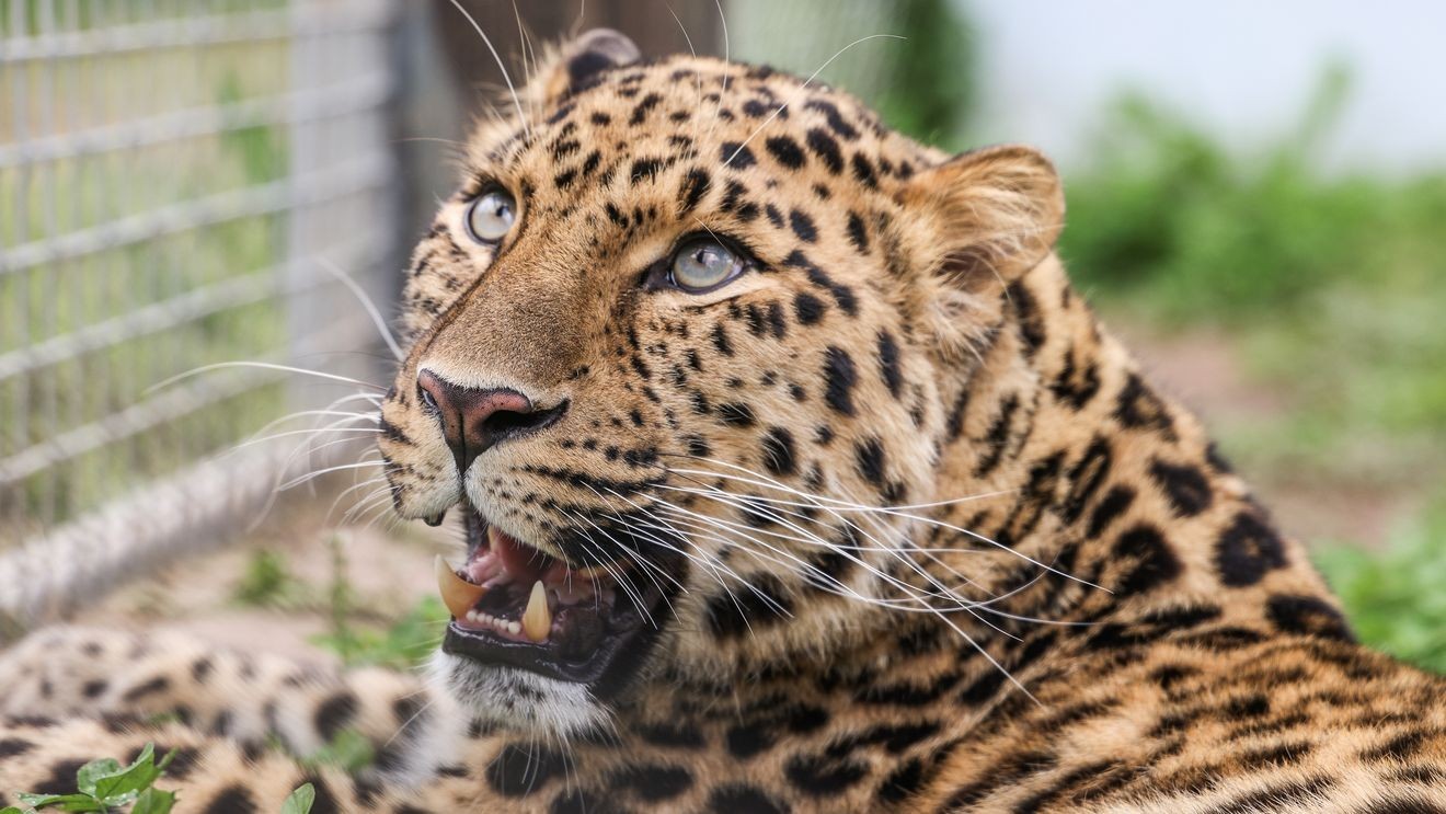 014ea888-9eef-4145-a651-