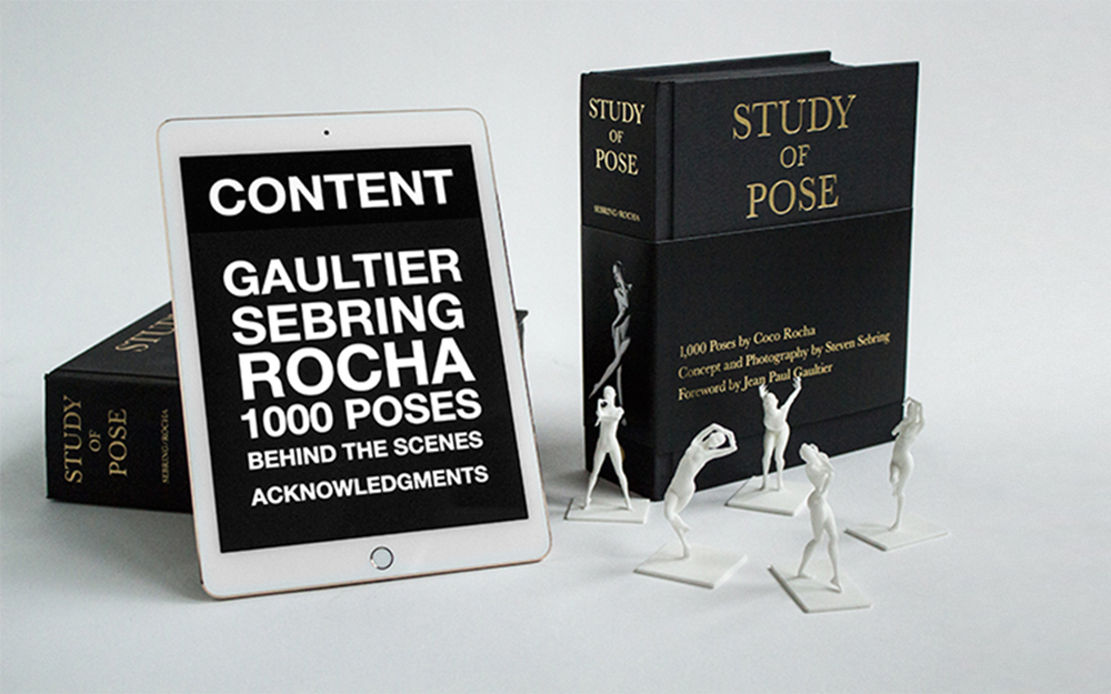 STUDY OF POSE - Sebring